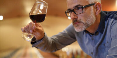 Οδηγός Οινογνωσίας